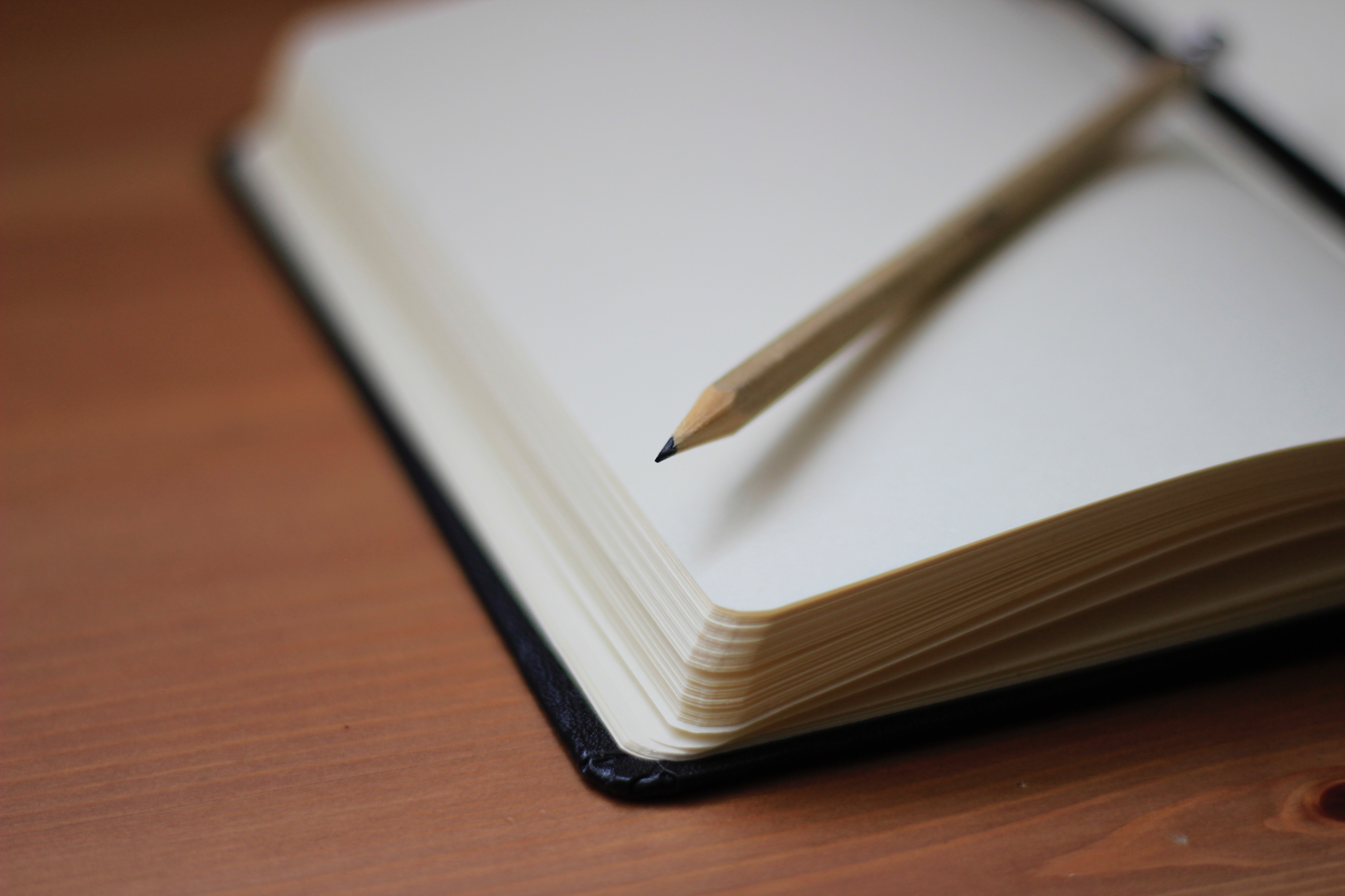 15 Best Paper Journals and Notebooks